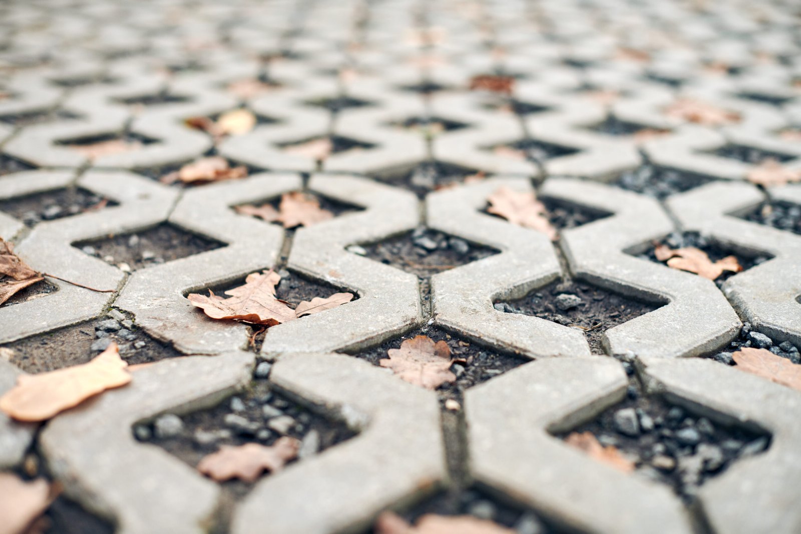 Choosing the Best Pavers in Melbourne